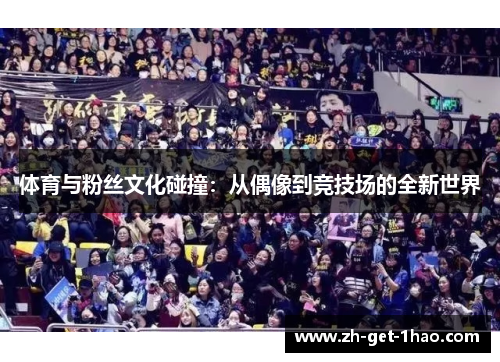 体育与粉丝文化碰撞：从偶像到竞技场的全新世界