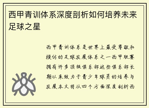 西甲青训体系深度剖析如何培养未来足球之星